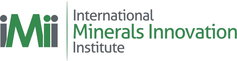 IMII Logo