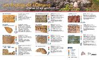 Mining Matters Fossils of Ontario Guide page 1 French