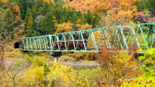 A truss bridge.