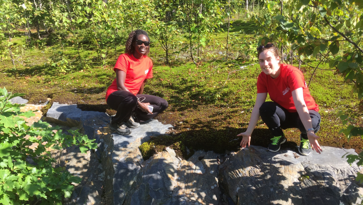 Exploring an Outcrop