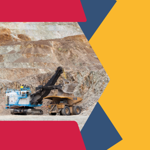 A blue crane framed in front of a rocky mountain background - Une grue bleue se détachant sur un fond de montagne rocheuse