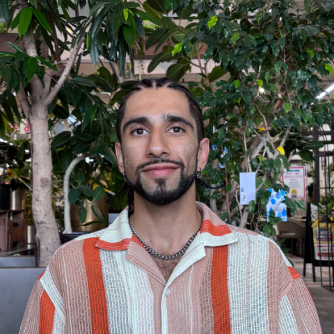 Mahdi Sabour