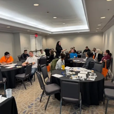 Critical Minerals Workshop