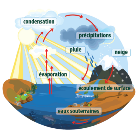 Cycle de l’eau humain